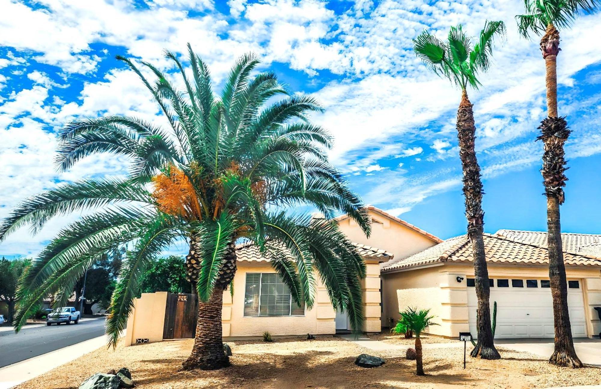 North Phoenix At Your Fingertips Exterior photo